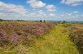 A view of County Tyrone from Sliabh Beagh